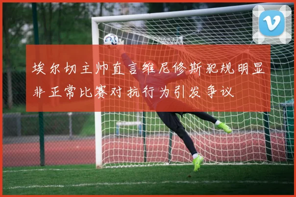 埃尔切主帅直言维尼修斯犯规明显非正常比赛对抗行为引发争议
