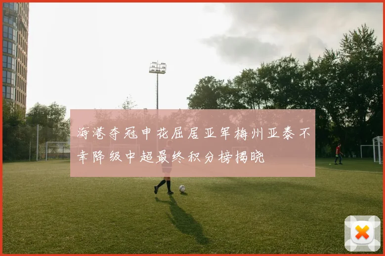 海港夺冠申花屈居亚军梅州亚泰不幸降级中超最终积分榜揭晓