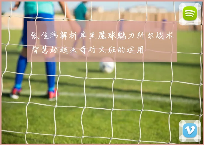 张佳玮解析库里魔球魅力科尔战术智慧超越米奇对文班的运用