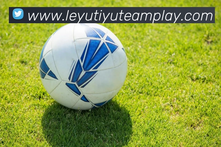 乐鱼体育平台生态图