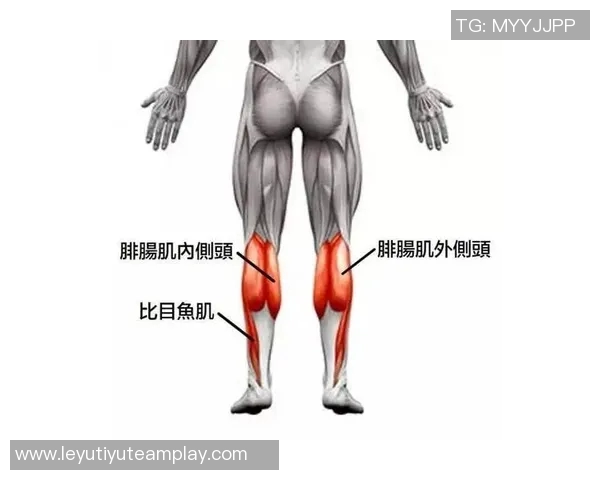 皇马后卫赫伊森因左腿比目鱼肌受伤预计缺阵一到两周